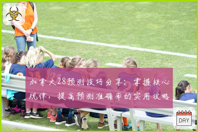 加拿大28预测技巧分享：掌握核心规律，提高预测准确率的实用攻略