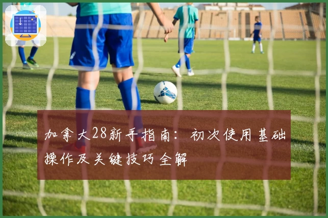 加拿大28新手指南：初次使用基础操作及关键技巧全解