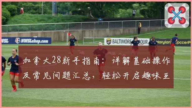 加拿大28新手指南：详解基础操作及常见问题汇总，轻松开启趣味互动新体验