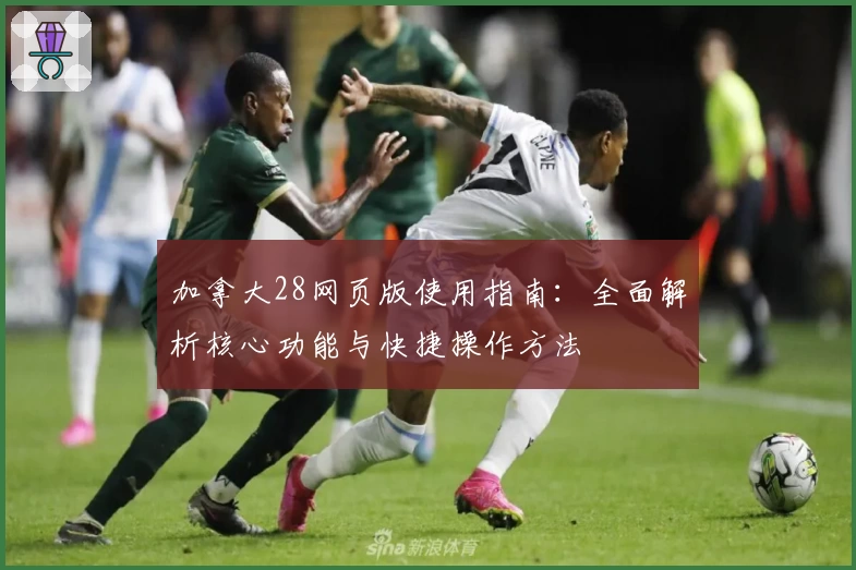 加拿大28网页版使用指南：全面解析核心功能与快捷操作方法