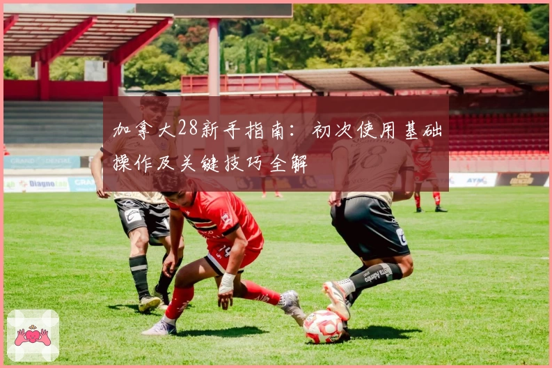 加拿大28新手指南：初次使用基础操作及关键技巧全解