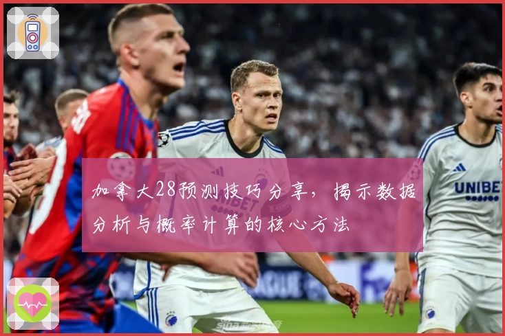 加拿大28预测技巧分享，揭示数据分析与概率计算的核心方法