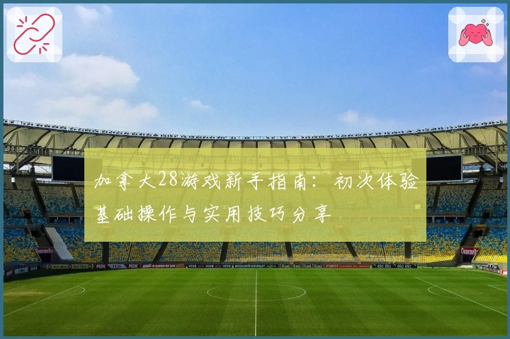 加拿大28游戏新手指南：初次体验基础操作与实用技巧分享