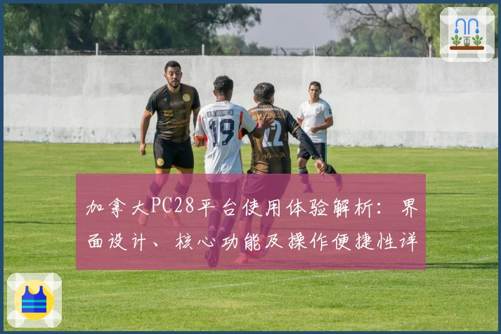 加拿大PC28平台使用体验解析：界面设计、核心功能及操作便捷性详细说明