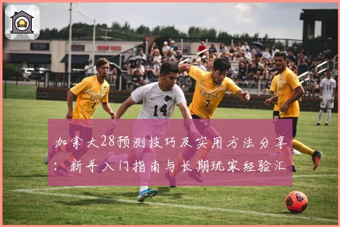 加拿大28预测技巧及实用方法分享：新手入门指南与长期玩家经验汇总