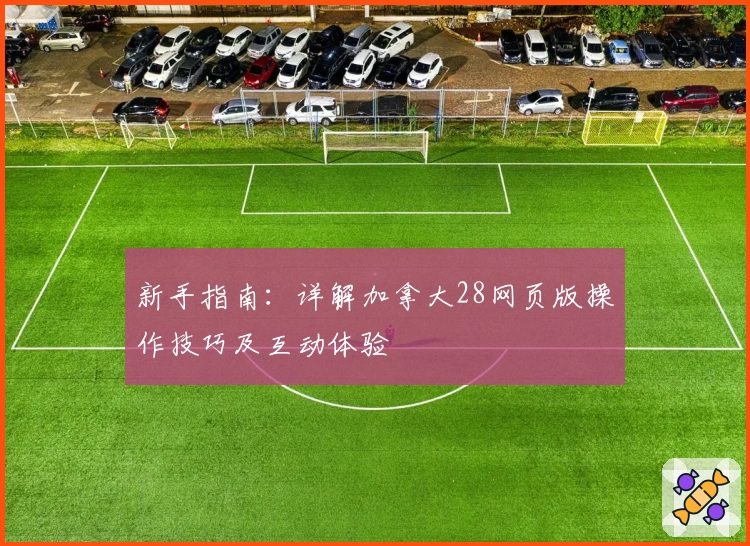 新手指南：详解加拿大28网页版操作技巧及互动体验