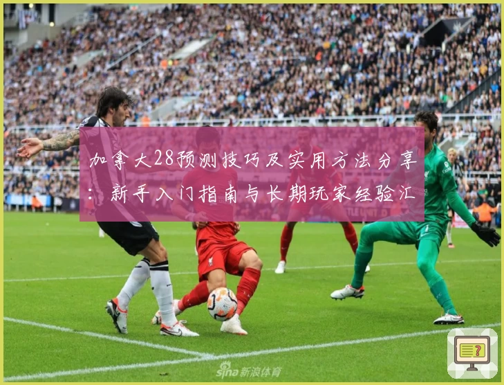 加拿大28预测技巧及实用方法分享：新手入门指南与长期玩家经验汇总