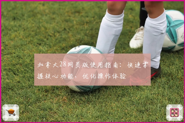 加拿大28网页版使用指南：快速掌握核心功能，优化操作体验