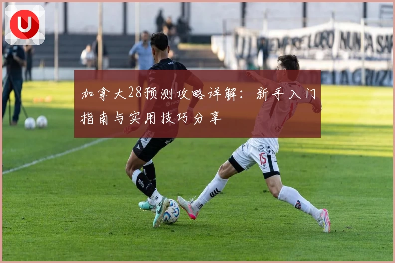 加拿大28预测攻略详解：新手入门指南与实用技巧分享