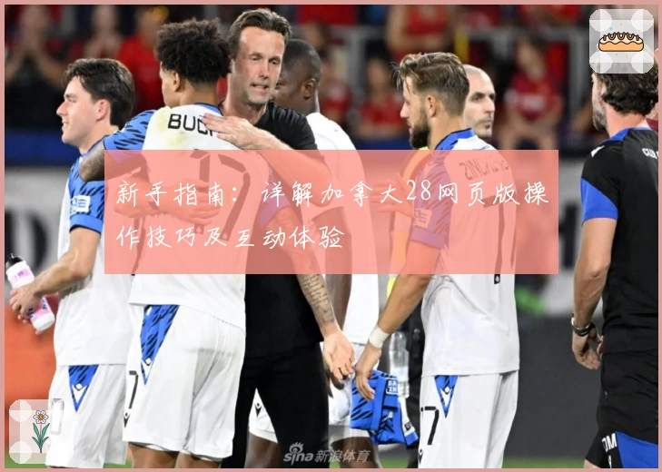 新手指南：详解加拿大28网页版操作技巧及互动体验