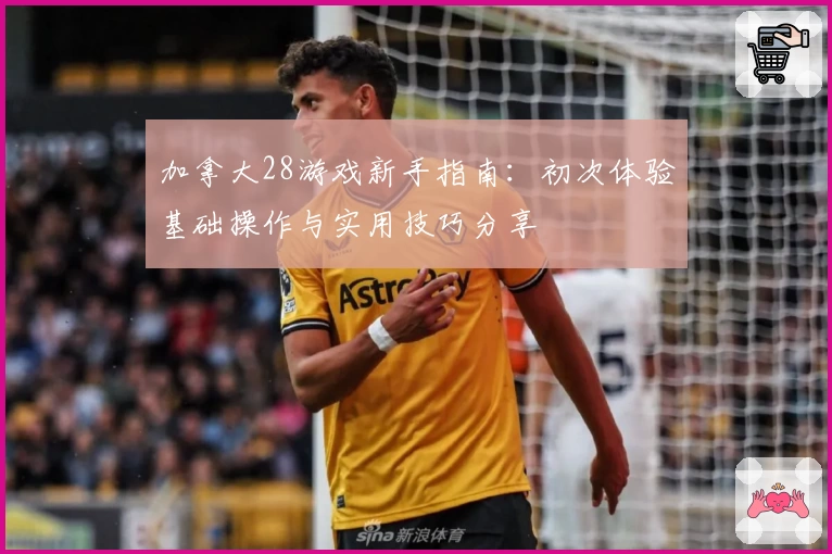 加拿大28游戏新手指南：初次体验基础操作与实用技巧分享