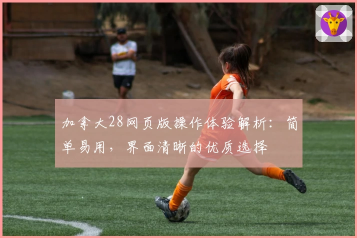 加拿大28网页版操作体验解析:简单易用,界面清晰的优质选择