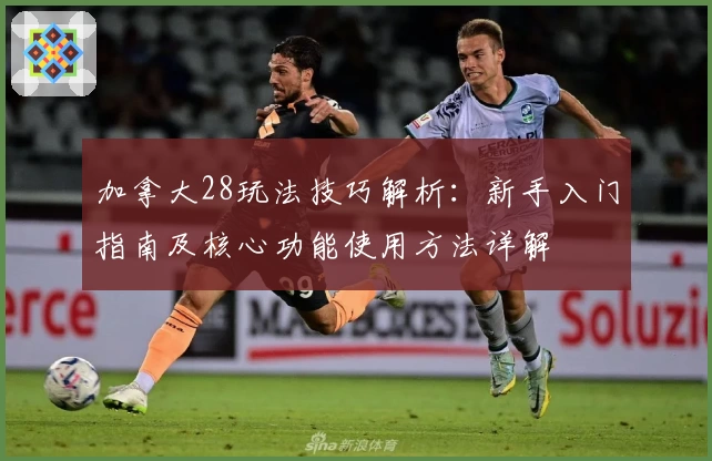 加拿大28玩法技巧解析：新手入门指南及核心功能使用方法详解