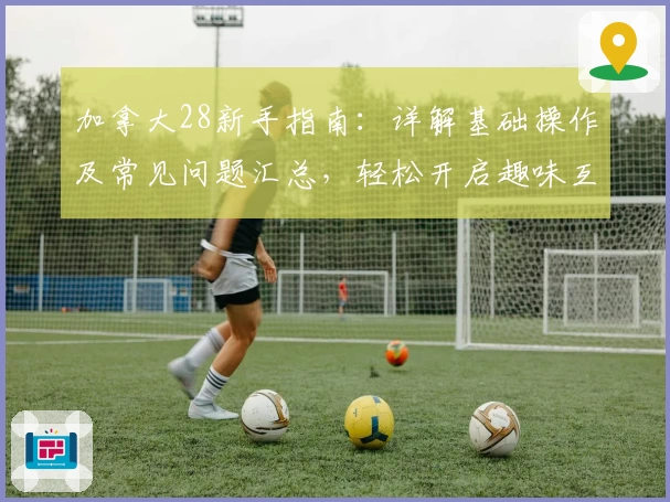 加拿大28新手指南：详解基础操作及常见问题汇总，轻松开启趣味互动新体验